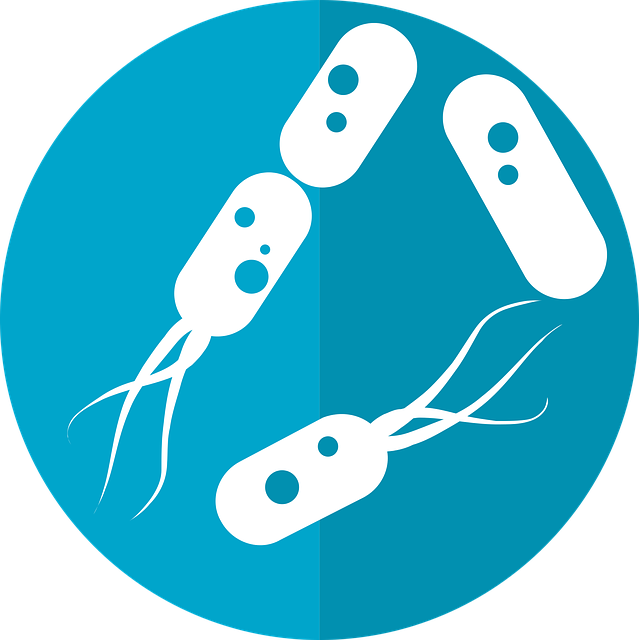 bacteria-icon-2316230_640.png